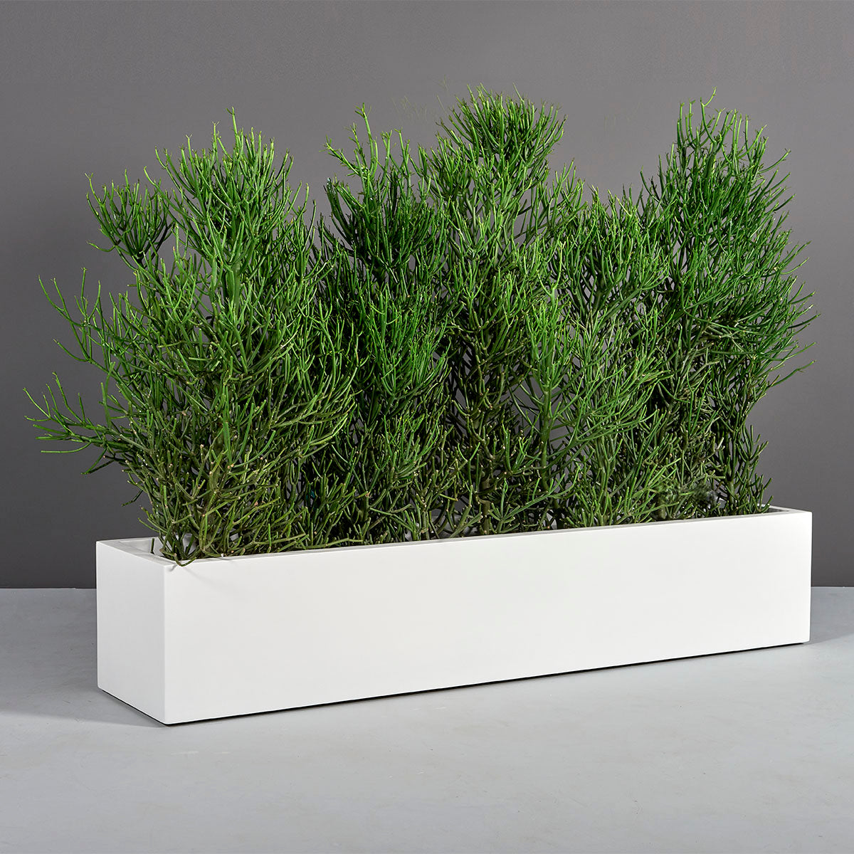 Narbonne Long Rectangular Planter