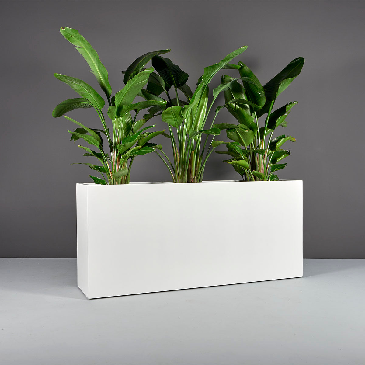 oblong planter indoor Potsdam Rectangular Planter