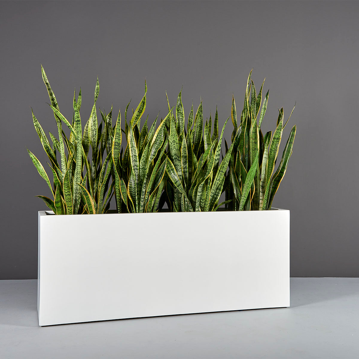 white rectangular indoor planter Tolga Rectangular Planter