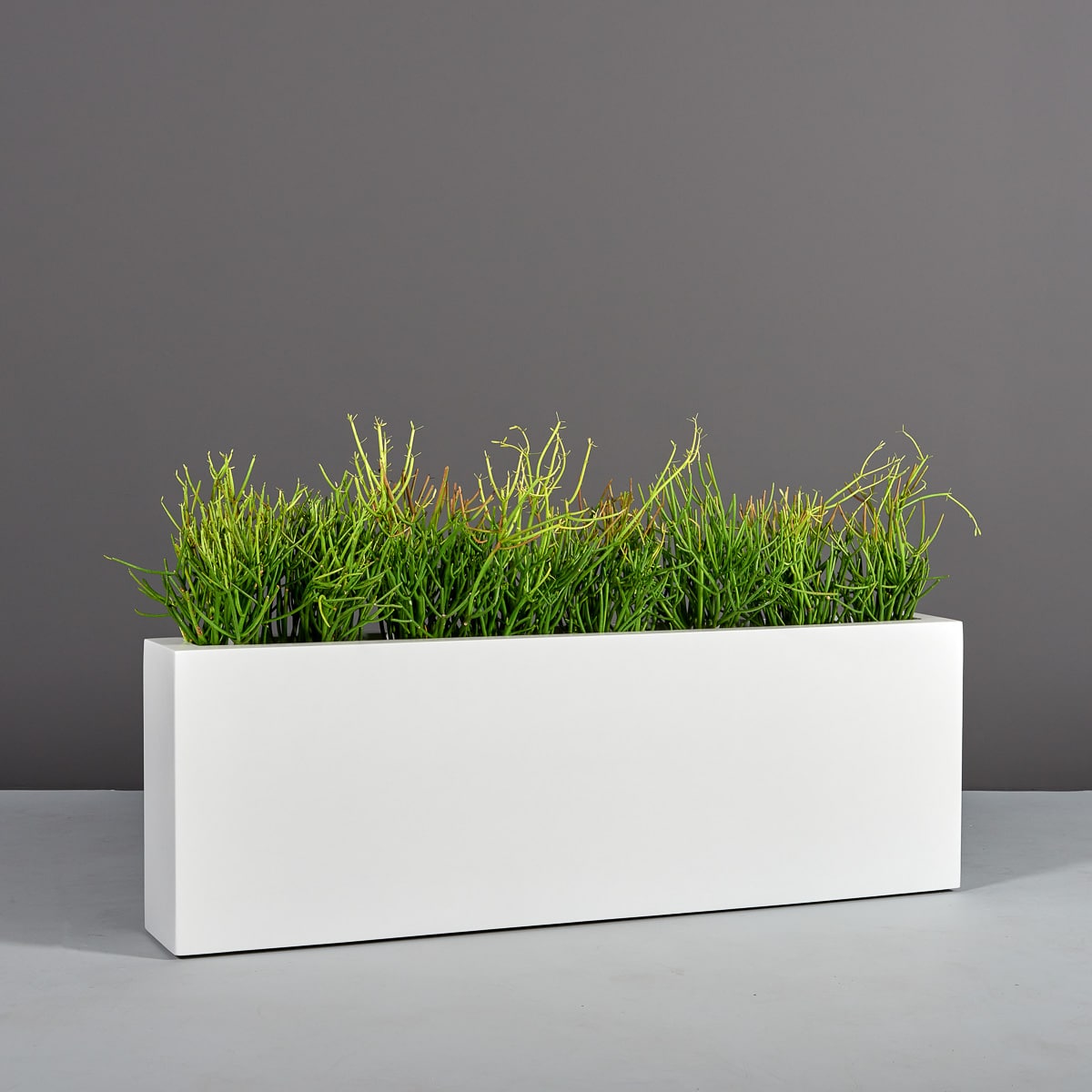 white indoor planter box Miami Rectangular Planter – Indoor Garden Place