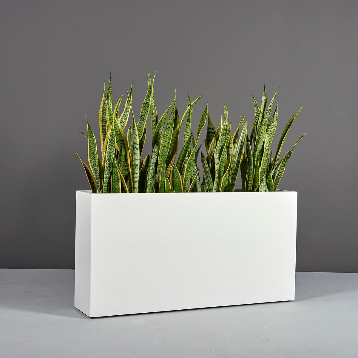 large rectangular indoor planter Milano Narrow Rectangular Planter – Indoor Garden Place