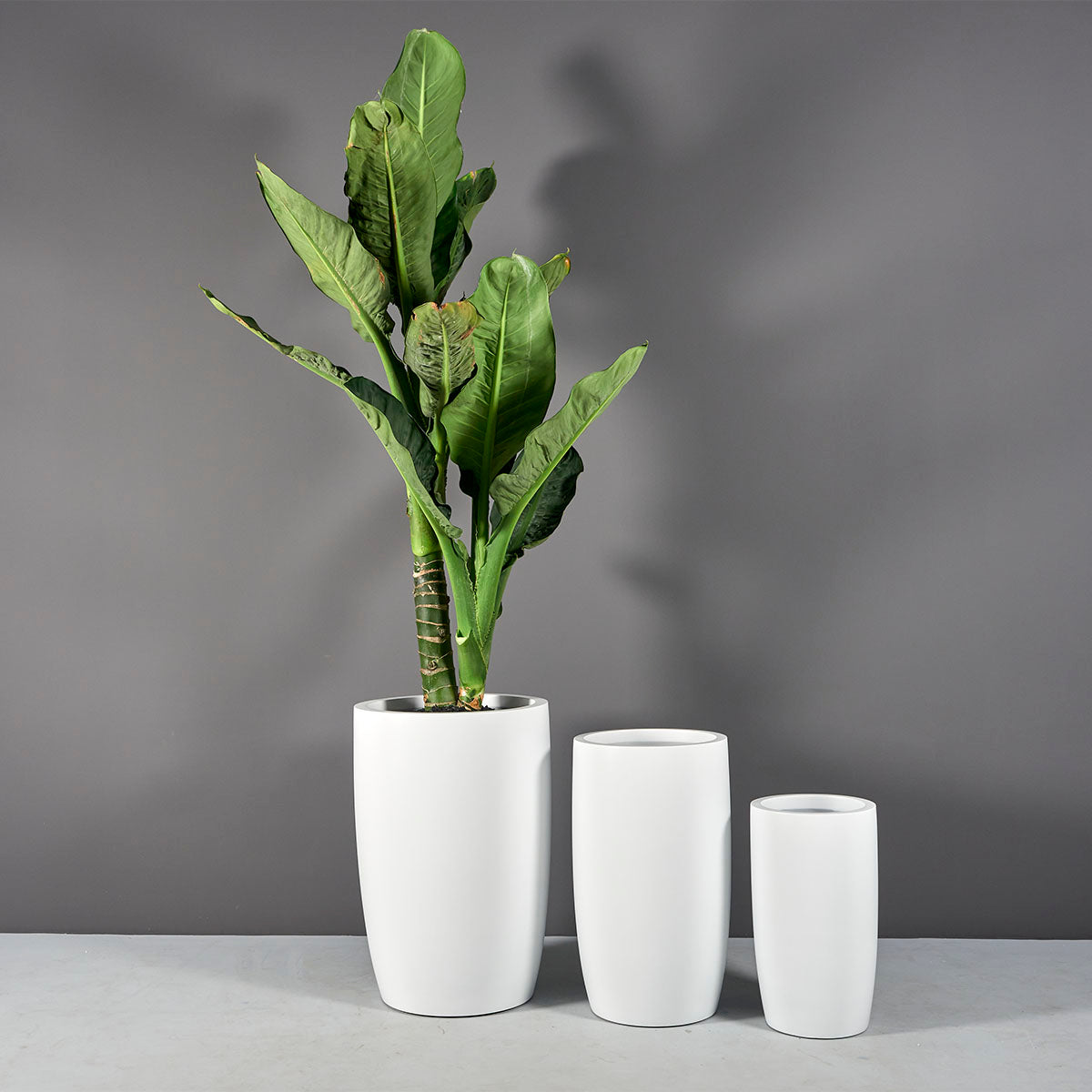 tall ceramic planter indoor Lisbon Tall Round Tapered Planter – Indoor Garden Place
