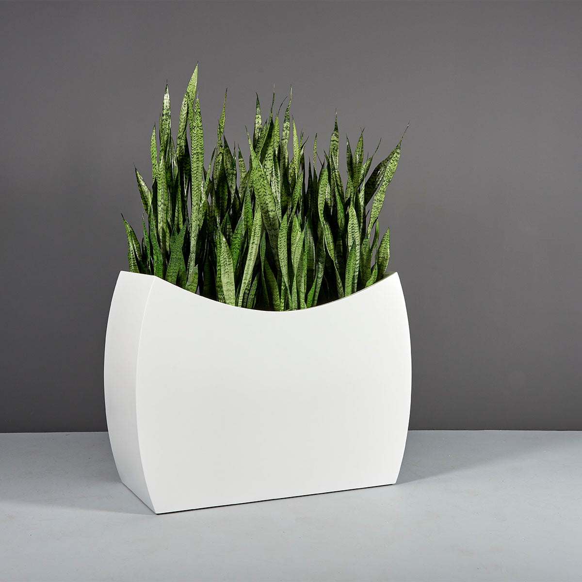 Seoul Modern Rectangular Planter