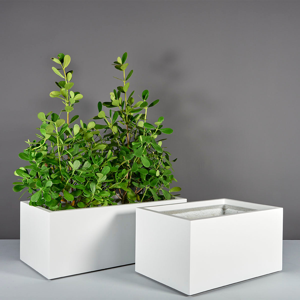 Torino Wide Rectangle Planter